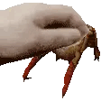 hey